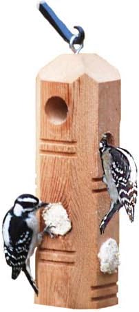 Wildlife Sciences Suet Plug Feeder, Bevel Cut Pine Post