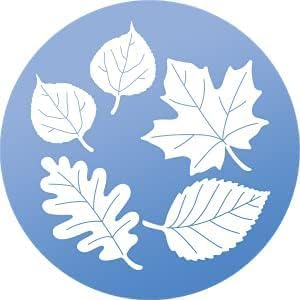 WindowAlert Leaf Medley Anti-Collision Decal 4 Pack - UV-Reflective Window Decal to Protect Wild Birds from Glass Collisions - Made in The USA