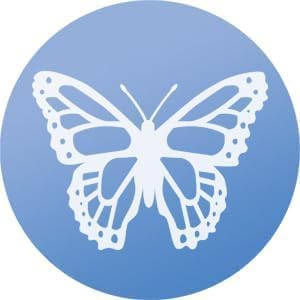 WindowAlert Butterfly Anti-Collision Decal 12 Pack - UV-Reflective Window Decal to Protect Wild Birds from Glass Collisions - Made in The USA