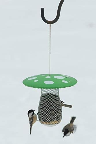 Best Wild Bird Feeder to Attract More Tree clinging Birds Fill it with Sunflower Black Oil Seed Peanuts and Suet Pellet Easy to Install Clean & Fill