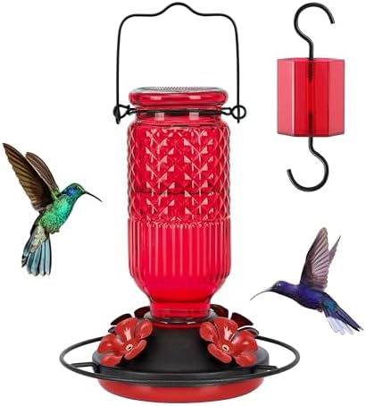 Glass Hummingbird Feeder& Plastic Disc Hummingbird Feeders
