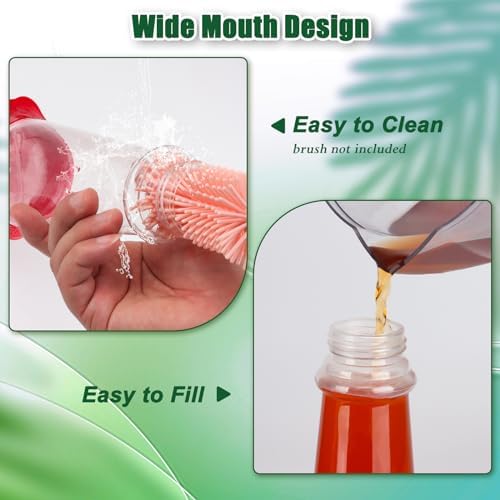 FEED GARDEN Glass + Plastic Hummingbird Feeders Bundle