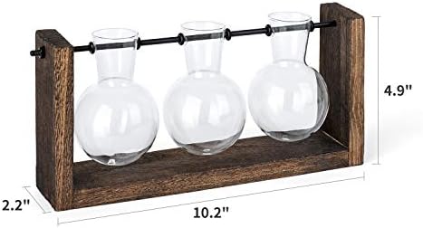 Mkono Plant Propagation Wall Hanging Terrarium with Wooden Stand Flower Vase Glass Planter Stations for Hydroponic Cutting Home Garden Office Decor Plant Lover Gift