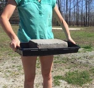 Bootstrap Farmer 72 Cell w/ 1020 Tray - 5 Pack Combo - Extra Strength Starting Trays for Planting Seedlings, Propagation, Germination Plugs