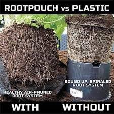 Best Root Pouch (5 Gallon)(10 Pack)(11"w x 10.25"H) Garden Grow Bag Container With Handles. Grow Bigger and Healthier Tomatoes, Veggies and Herbs In Soft Pots.