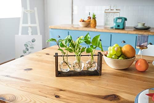 Mkono Plant Propagation Wall Hanging Terrarium with Wooden Stand Flower Vase Glass Planter Stations for Hydroponic Cutting Home Garden Office Decor Plant Lover Gift