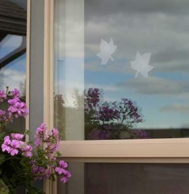 WindowAlert Maple Leaf Anti-Collision Decal - UV-Reflective Window Decal to Protect Wild Birds from Glass Collisions - Made in The USA
