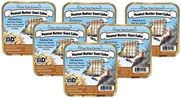 Pine Tree Farms Peanut Butter Suet Cake Wild Bird Food (6-Pack)6