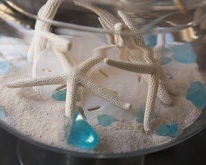Tumbler Home Sand Dollars and Starfish for Crafts, 3 Real Starfish (4"-6") and 3 Sand Dollars (3"-3.5") in Bulk