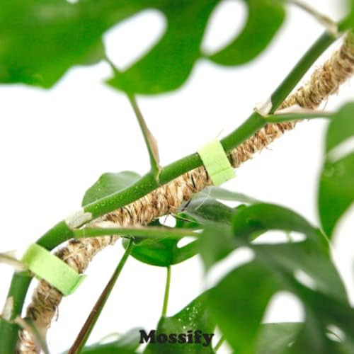 Mossify Bendable Coir Pole for Plants – 30” Premium Manila Coir Moss Pole Monstera Plant Support for Indoor & Outdoor Plant Climbing Support - Comes with Reusable Tape for Durable Plant Pole