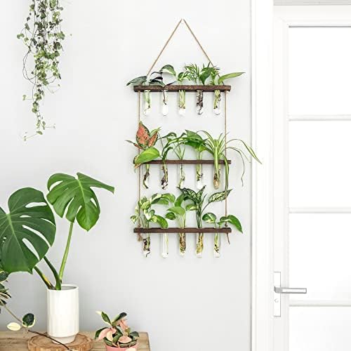 Mkono Plant Propagation Wall Hanging Terrarium with Wooden Stand Flower Vase Glass Planter Stations for Hydroponic Cutting Home Garden Office Decor Plant Lover Gift