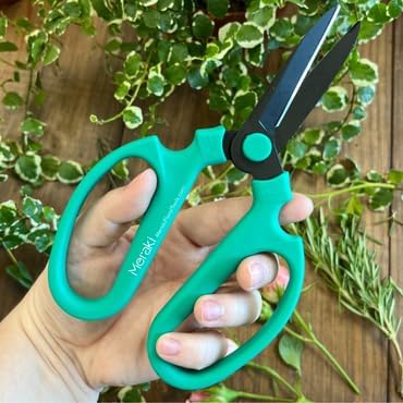 Garden Pruning Shears Scissors Carbon Steel Blades 7.6 Inch, Echinops - Teal