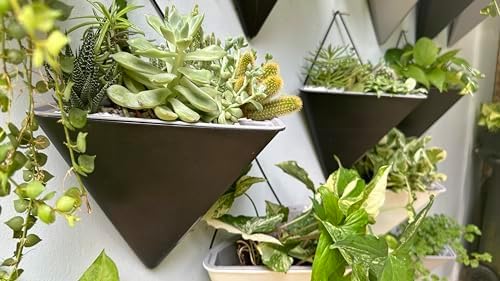 LaLaGreen Bundle- 2 Pack, 12 Inch Black Geometric Self Watering Pot + 6 Pack, 4 Inch Square Metal Pot Wall Mounted Hanging Plant Flower Succulent Vase Holder Modern Stylish Balcony Indoor Garden Decor