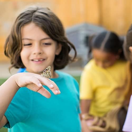 Insect Lore Raise and Release Butterfly Garden Kit – Caterpillar Habitat with redeemable Voucher – STEM-accredited Butterfly Growing Kit for Kids, Classrooms, and Homeschool Learning