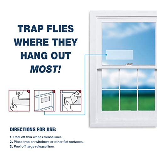 Catchmaster Fly Trap Bundle, Window Fly Traps 12-Pack & Fly Bag 4-Pack, Fruit Fly Traps for Indoors & Outdoors, for Garage, Backyard, Pool, Patio & Camping