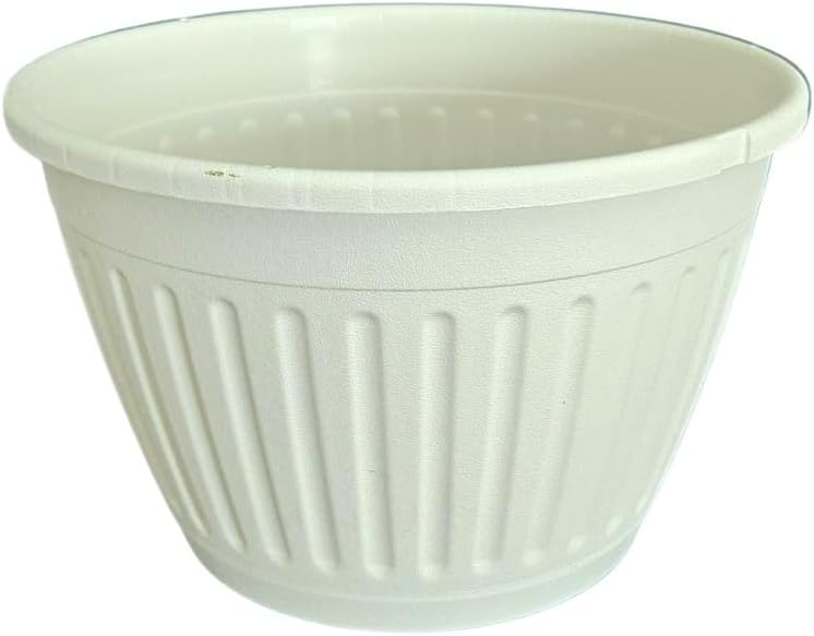 Landmark Plaics 10 inch Imperial Plastic Hanging Basket (White, 5)