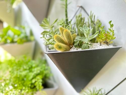 LaLaGreen Bundle- 10 Pack, 4 Inch Black Metal Pot + 4 Pack, 12 Inch Self Watering Pot Geometric Hanging Vertical Wall Mounted Flower Vase Balcony Porch Home Decor Succulent Herbs Plant Holder Garden