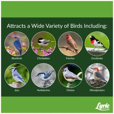Lyric Fine Tunes Wild Bird Seed Mix - No Waste Bird Food Mix - Attracts Bluebirds, Finches, Chickadees & More - Seed for Outside Feeders - 5 lb Bag