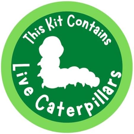 Insect Lore Two Cups of Caterpillars - Butterfly Garden Kit Refill – Raise and Release Painted Lady Butterflies – Includes Two Chrys-A-Lid Holding Logs and Instructions