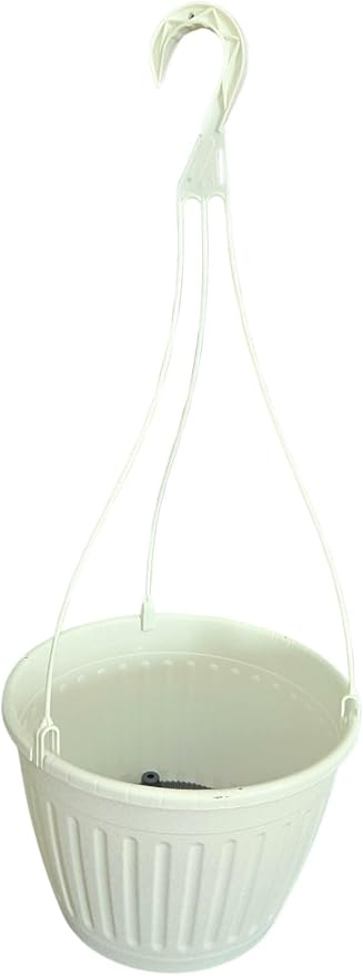 Landmark Plaics 10 inch Imperial Plastic Hanging Basket (White, 25)