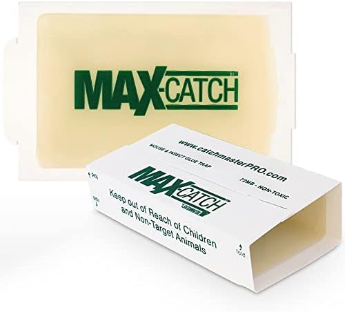 Catchmaster Mouse & Pest Glue Board Bundle, 36 Glue Boards & 6 Pack Large Glue Traps, Rat & Mouse Traps Indoor for Home