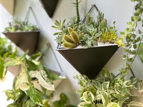LaLaGreen Bundle- 2 Pack, 12 Inch Black Geometric Self Watering Pot + 6 Pack, 4 Inch Square Metal Pot Wall Mounted Hanging Plant Flower Succulent Vase Holder Modern Stylish Balcony Indoor Garden Decor