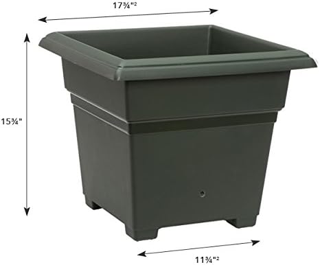 EarthBox 81751 Technology Root & Veg Organic Garden Kit, Green