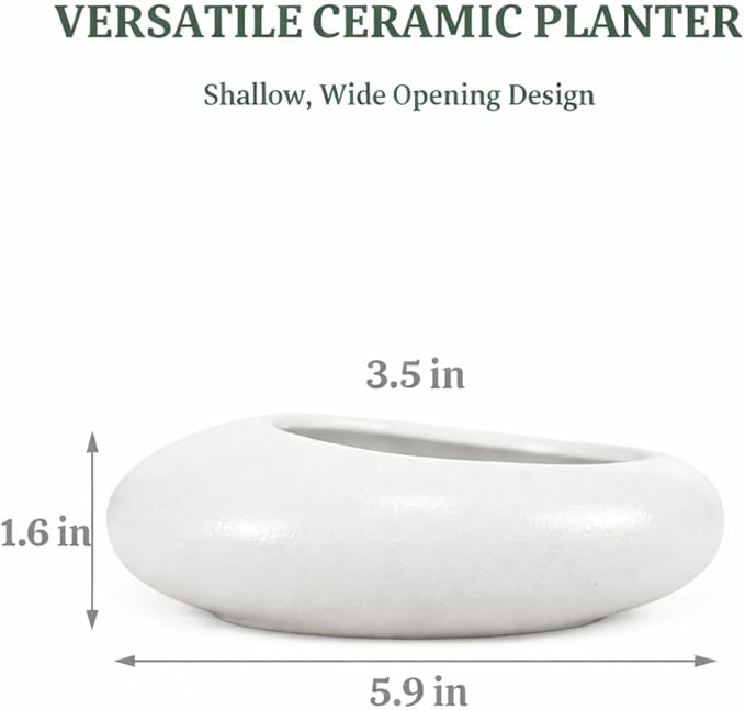 Flower Frog Vase Kit – Japanese-Inspired Arita-Style Glazed Ceramic Ikebana Vase with Kenzan & Gift Box, for Floral Arranging, Home & Office Decor, Relaxing Ambience (White Small)