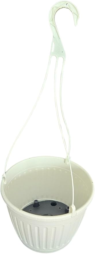 Landmark Plaics 10 inch Imperial Plastic Hanging Basket (White, 25)