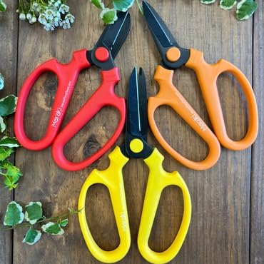 Garden Pruning Shears Set Of 3, Summer Season Meraki Garden Shears