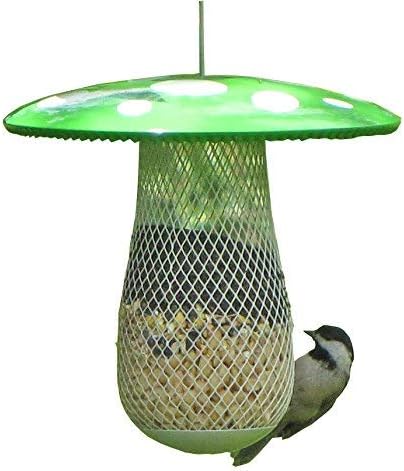 Best Wild Bird Feeder to Attract More Tree clinging Birds Fill it with Sunflower Black Oil Seed Peanuts and Suet Pellet Easy to Install Clean & Fill