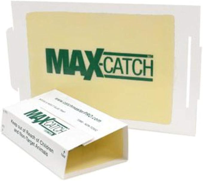 Full Case of 72 Catchmaster Mouse/Spider/Insect/Scorpion Glue Board Sticky Traps Peanut Butter Scent