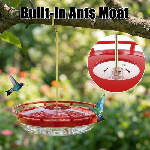 Glass Hummingbird Feeder& Plastic Disc Hummingbird Feeders