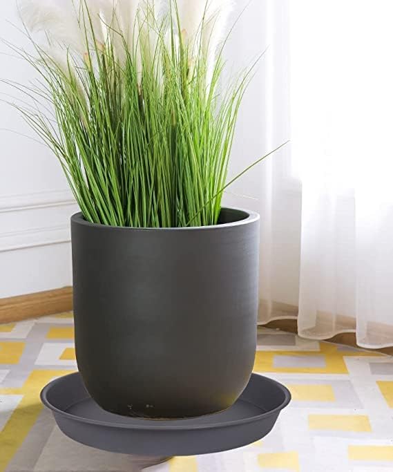 6 Pack of 7 inch Plant Saucer, Heavy Duty Plastic Plant Water Tray 7 inch Round, Flower Plant Saucers for Indoors No Holes, Plant Dishes Saucer for Planter 7"/8" (7", Cement)