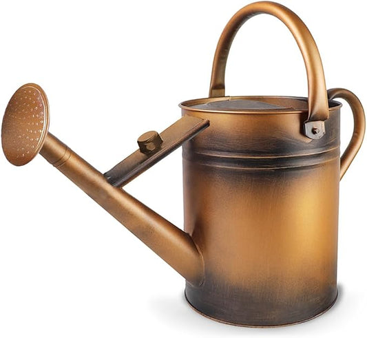 1 Gallon Metal Watering Can with Removable Spout, Nice Galvanized Steel Water Can for Indoor and Outdoor Plants (House Plants)