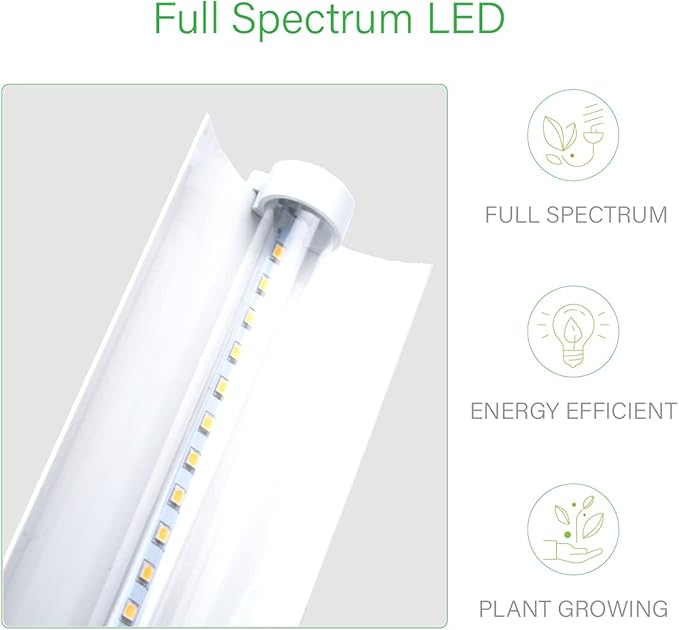 2 feet LED Grow Light Stand for Seedling,Iron Pipe Frame,with Natural White Light Full Spectrum LED Plant Growing Lamp, Light Height Ajustable,with Timer Outlet