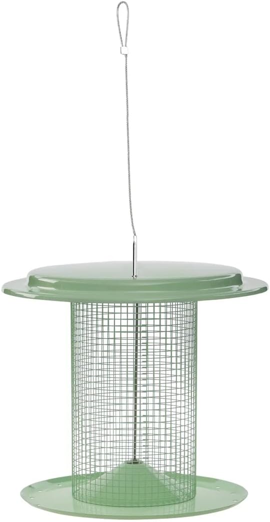 Birds Choice Modern Farmhouse Sunflower Seed Bird Feeder, Sage Green - Includes Paracord Hanger, 3 lbs. Seed Capacity