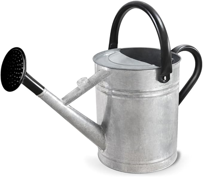 1 Gallon Metal Watering Can with Removable Spout, Nice Galvanized Steel Water Can for Indoor and Outdoor Plants (House Plants)