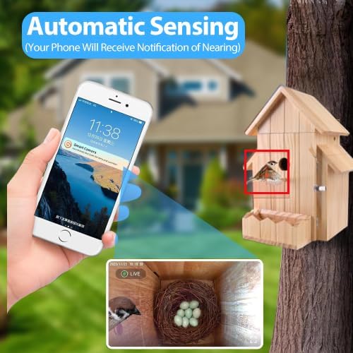 Smart Bird House with Camera, 1080p HD 2.4G WiFi Outdoor Bird Box. Features Auto Capture Bird Video & Motion Detection, Night Vision, App Alerts and Serves as a Bird Nesting Box (Natural, Normal)