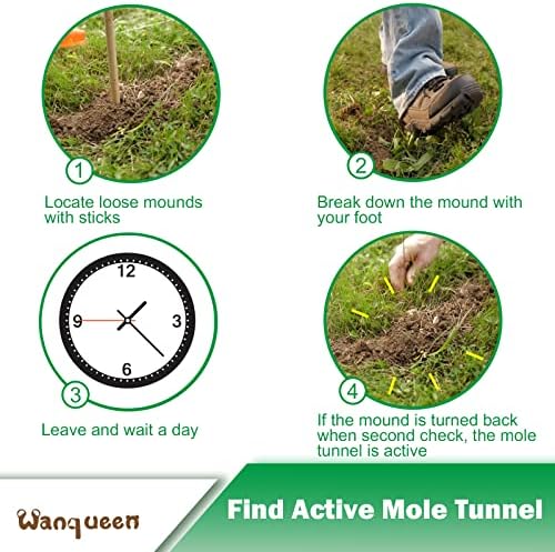 Mole Traps that Kill Best, Scissor for Lawns Vole Traps Outdoor Use, Mole Trap Easy to Set Galvanized Steel Reusable Quick Capture Gopher
