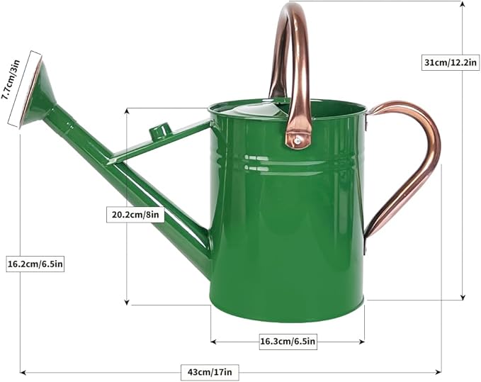 1 Gallon Metal Watering Can with Removable Spout, Nice Galvanized Steel Water Can for Indoor and Outdoor Plants (House Plants)