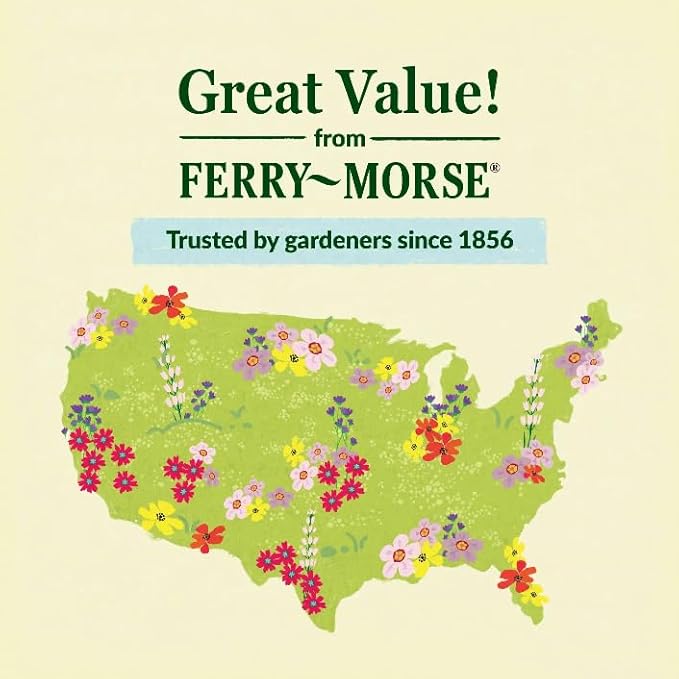 Ferry Morse Flower Seeds - White Wild Flower Mix, Non-GMO, Outdoor, Full Sun - 1 lb