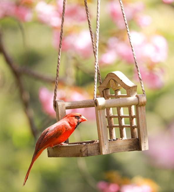 Audubon Park Cardinal Blend Wild Bird Food,Cardinal Bird Seed for Outside Feeders,4-Pound Bag,(Pack of 2)
