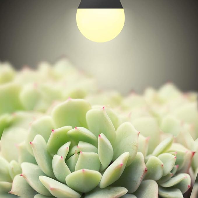 4 Pack LED Grow Light Bulbs A19 Bulb, Full Spectrum Plant Light Bulb, 9W E26 Grow Bulb Replace up to 80W, Grow Light for Indoor Plants, Flowers, Greenhouse, Indore Garden, Hydroponic