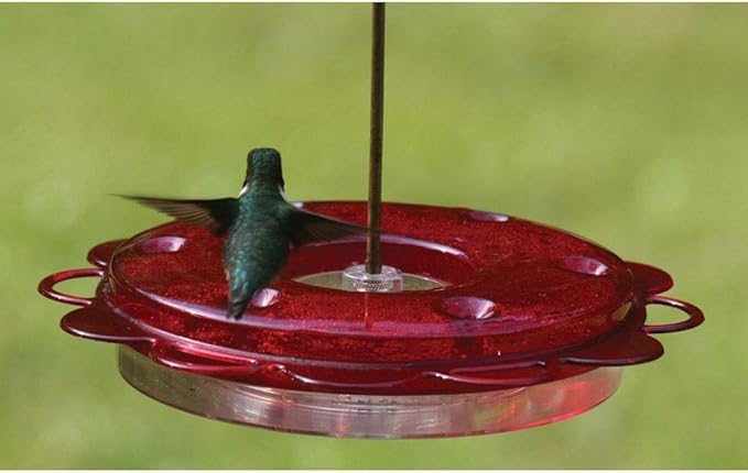 Nature Products 1002 Hummerfest Hummingbird Feeder