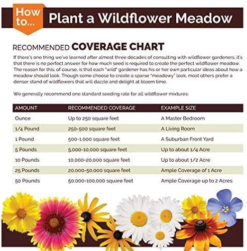 Non GMO Love in a Mist Flower Seeds Nigella damascena (5 Lbs)
