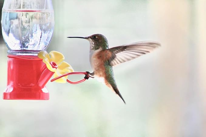 Mini Hummingbird Feeder 4 Pack 2.3oz Small Nectar Plastic Red Cute Hummingbird Feeders with Hanging Wires for Outdoor (Tulip Tube)