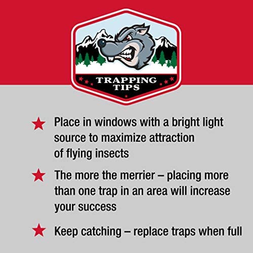 Catchmaster Fly Trap Bundle, Window Fly Traps 12-Pack & Fly Bag 4-Pack, Fruit Fly Traps for Indoors & Outdoors, for Garage, Backyard, Pool, Patio & Camping