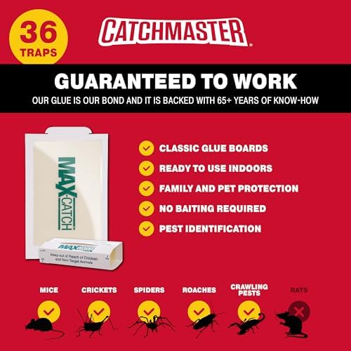 Catchmaster Mouse & Insect Glue Board Set, 36 Glue Boards & 30 Spider & Insect Glue Traps, Indoor Roach Trap for Home, Garage & Shed, Pet Safe Pest Control