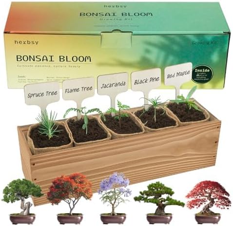 5 Pack Bonsai Tree Kit with Complete Tools, 5X Unique Seeds Bonzai Tree Kits, Indoor Bonsai Starter Kit with Wooden Box, Perfect Christmas Garden Gift for Mom, Men, Women, Plant Lover